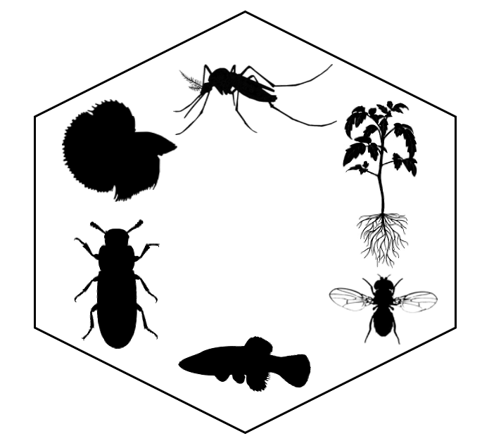 Epistasis Database Logo